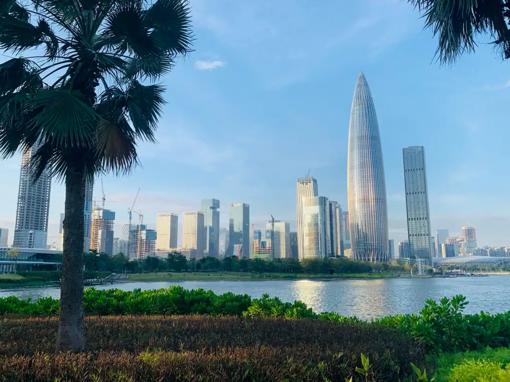 2025年深圳高净值家庭资产配置策略与风险管理要点正文配图 1